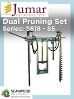 

Dual Pruning Set

